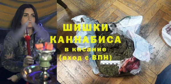 сатива Бронницы