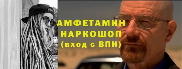 сатива Бронницы