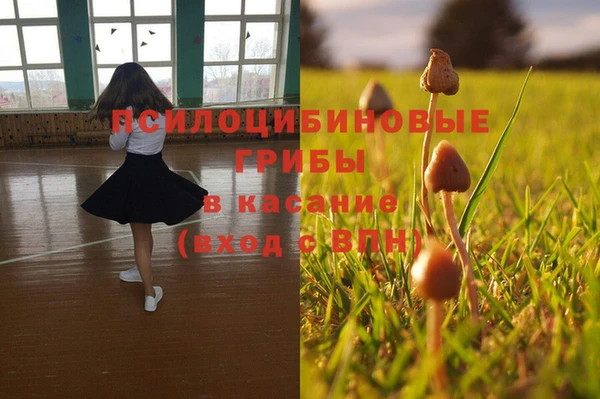 сатива Бронницы