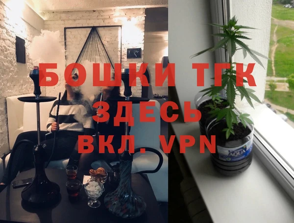 гашик Бородино