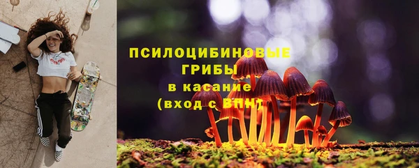гашик Бородино