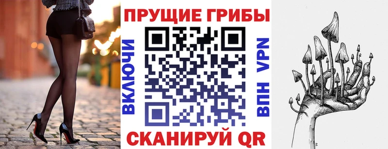 как найти закладки  Можайск  Псилоцибиновые грибы Magic Shrooms 